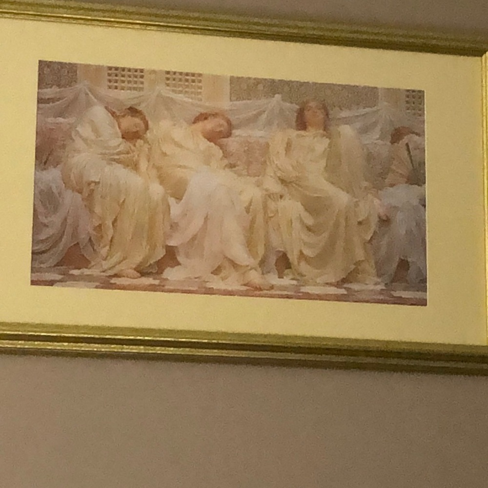 Meet your Posher, Amy